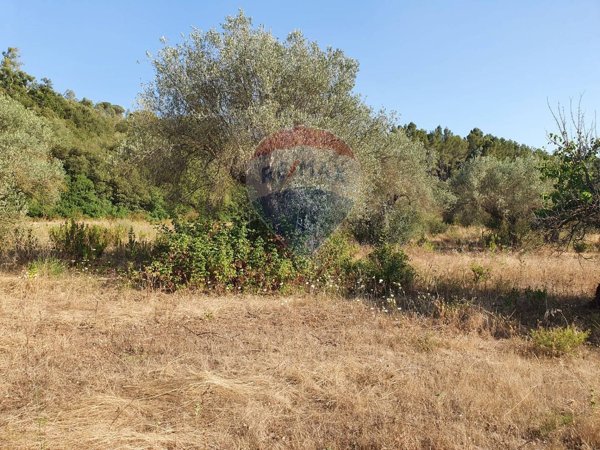 terreno in vendita a Caltagirone