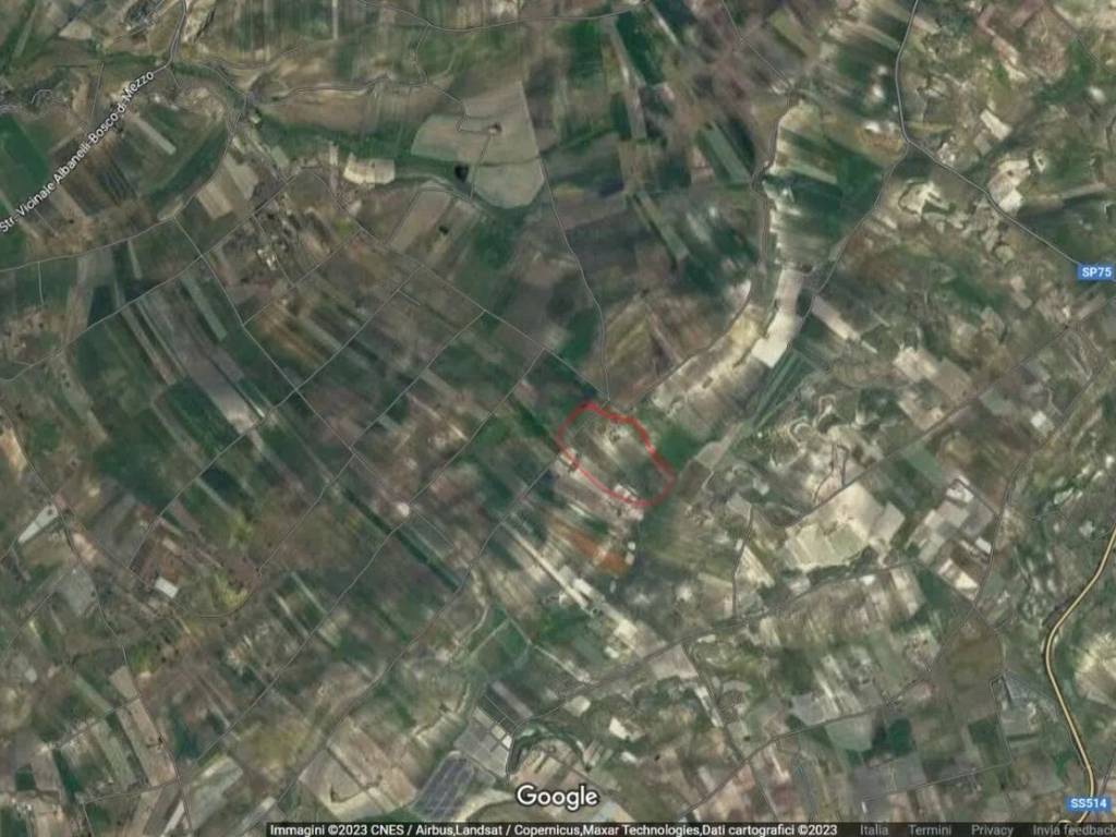 terreno agricolo in vendita a Caltagirone