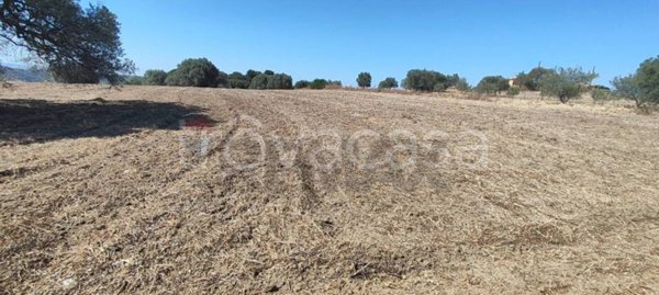 terreno in vendita a Caltagirone in zona Santo Pietro
