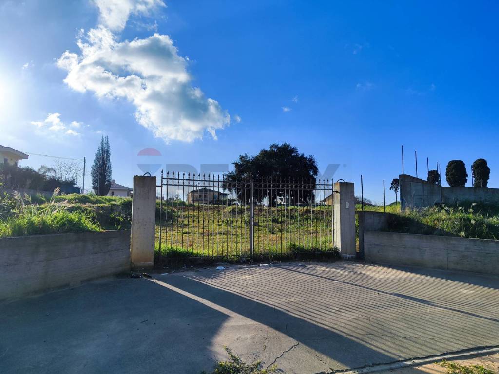 terreno agricolo in vendita a Caltagirone in zona Colleggiata
