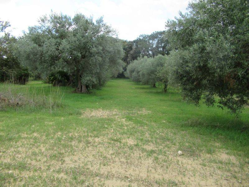 terreno in vendita a Caltagirone