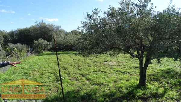 terreno agricolo in vendita a Camporotondo Etneo