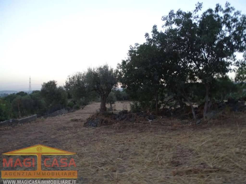 terreno agricolo in vendita a Camporotondo Etneo