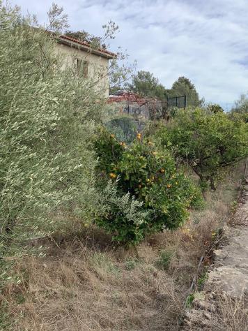 terreno agricolo in vendita a Camporotondo Etneo
