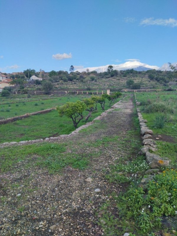 terreno agricolo in vendita a Camporotondo Etneo in zona Piano Tavola