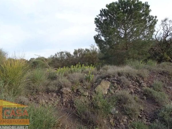 terreno agricolo in vendita a Camporotondo Etneo