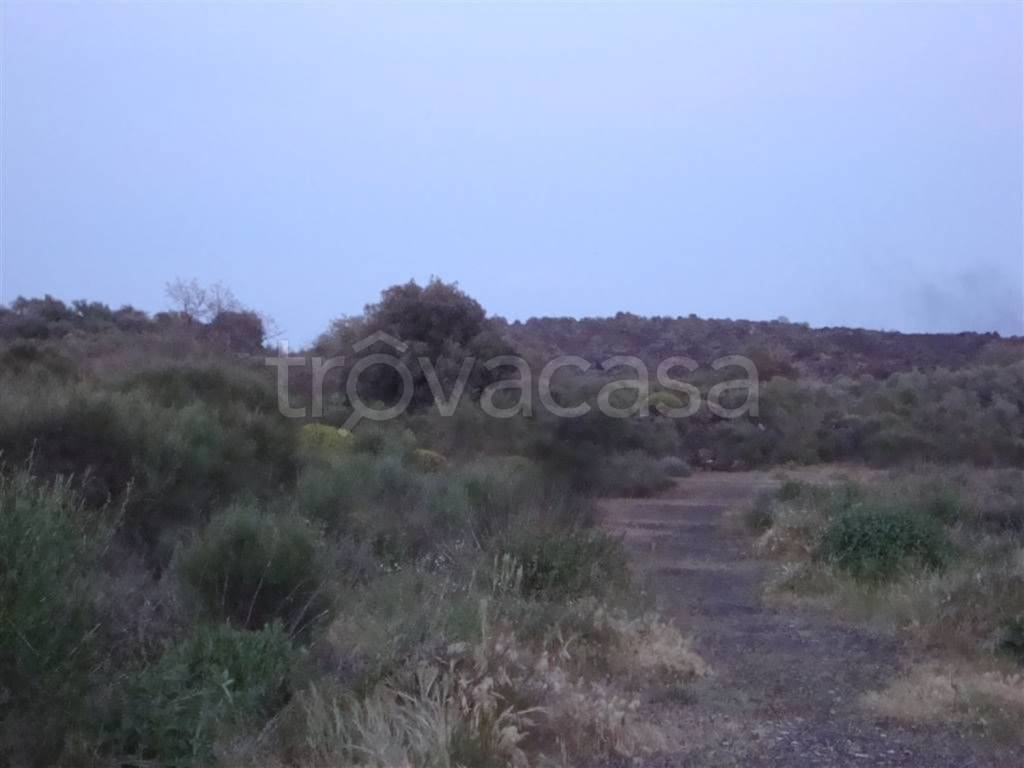 terreno agricolo in vendita a Camporotondo Etneo in zona Villaggio Sant'Antonio
