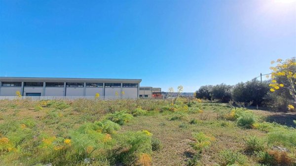 terreno agricolo in vendita a Camporotondo Etneo in zona Piano Tavola