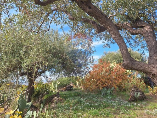 terreno agricolo in vendita a Camporotondo Etneo