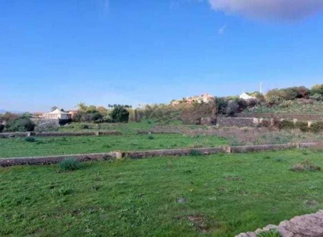 terreno agricolo in vendita a Camporotondo Etneo in zona Piano Tavola