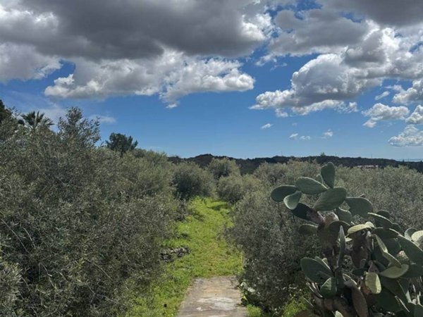 terreno agricolo in vendita a Camporotondo Etneo in zona Centro Storico