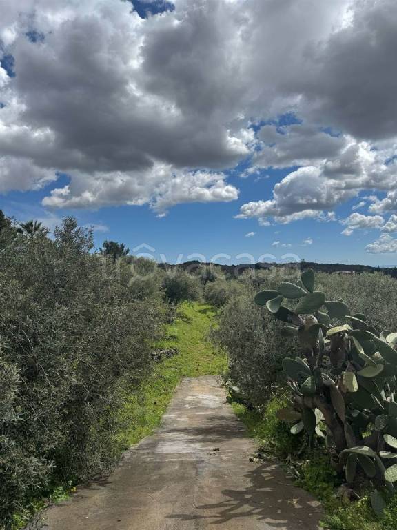 terreno agricolo in vendita a Camporotondo Etneo in zona Centro Storico