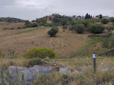 terreno agricolo in vendita a Camporotondo Etneo