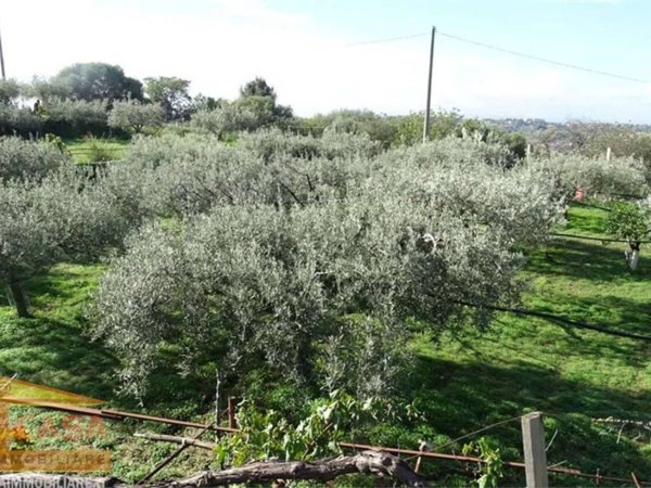 terreno agricolo in vendita a Camporotondo Etneo