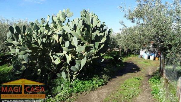 terreno agricolo in vendita a Camporotondo Etneo