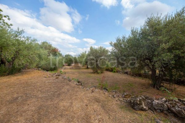 terreno agricolo in vendita a Camporotondo Etneo