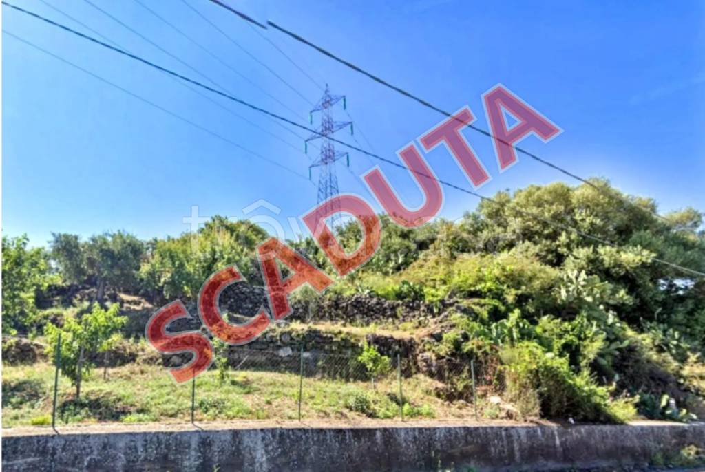 terreno agricolo in vendita a Camporotondo Etneo in zona Piano Tavola