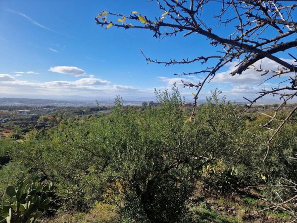 terreno agricolo in vendita a Camporotondo Etneo in zona Centro Storico