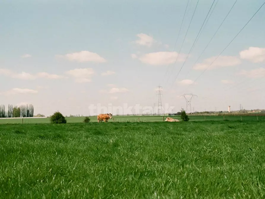 terreno agricolo in vendita a Camporotondo Etneo