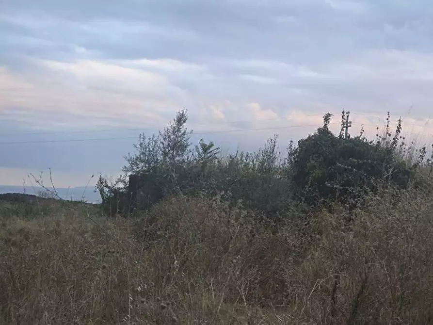 terreno agricolo in vendita a Camporotondo Etneo in zona Centro Storico