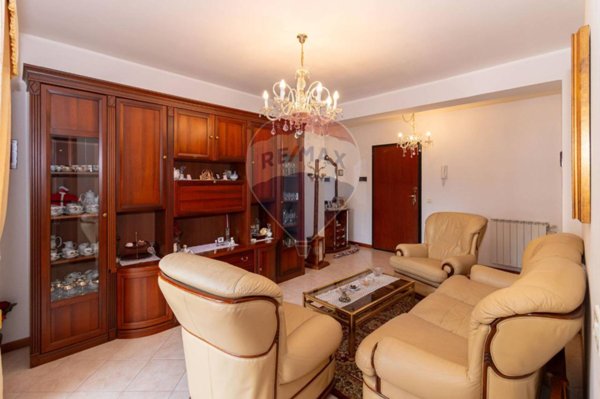 immagine annuncio 0 di 15