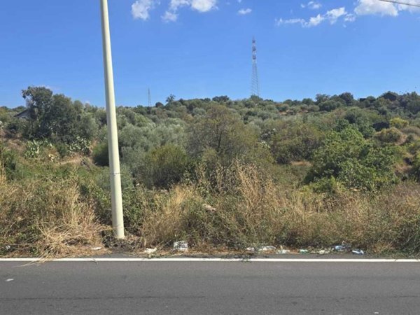 terreno agricolo in vendita a Camporotondo Etneo in zona Piano Tavola
