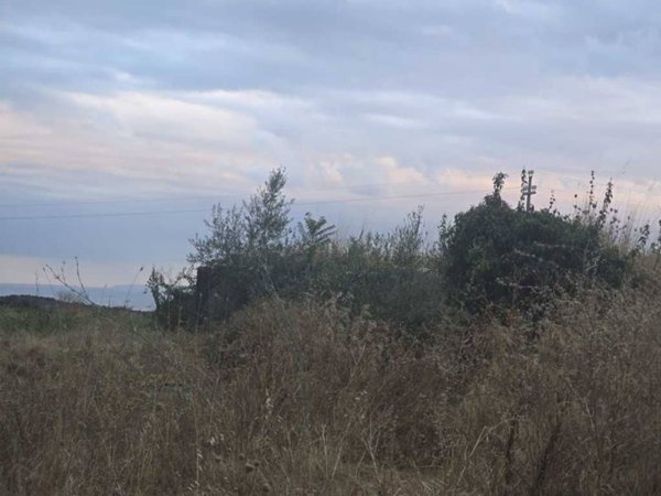 terreno agricolo in vendita a Camporotondo Etneo in zona Centro Storico