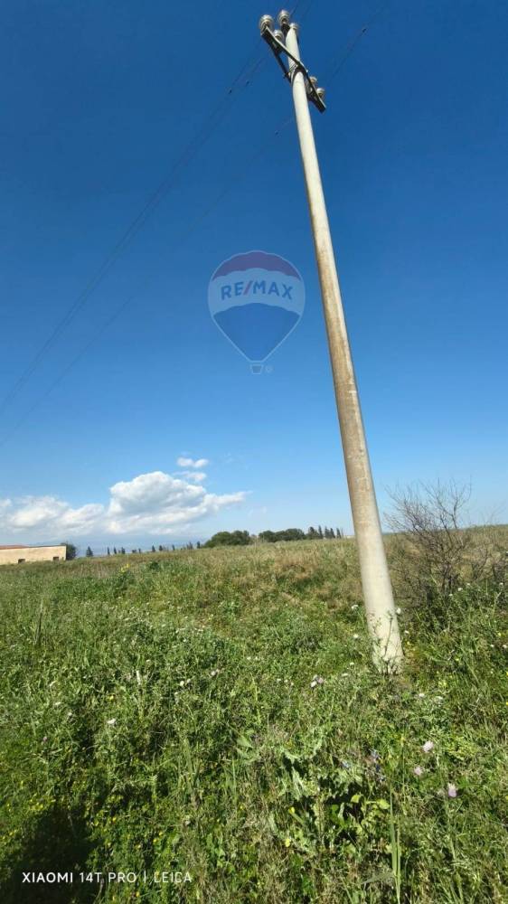 negozio in vendita a Camporotondo Etneo