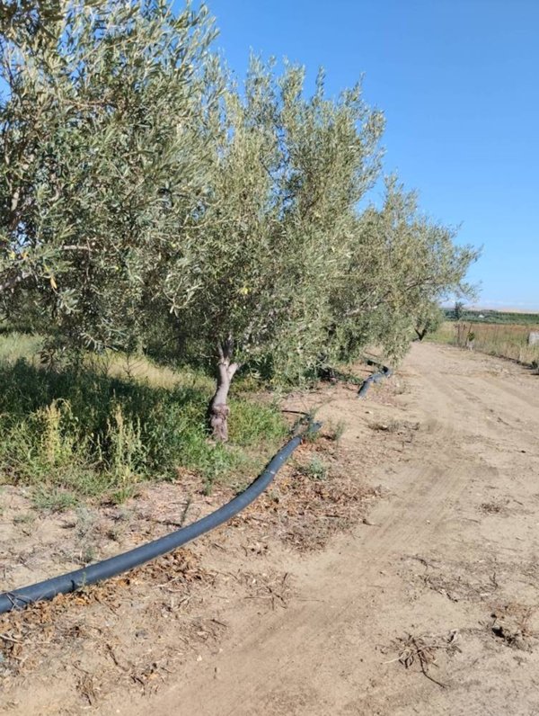 terreno agricolo in vendita a Camporotondo Etneo