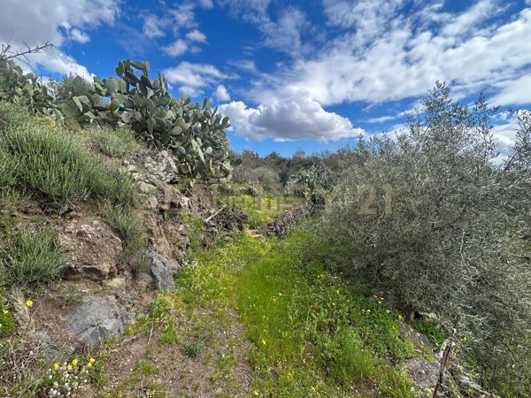 terreno edificabile in vendita a Camporotondo Etneo