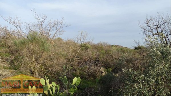 terreno agricolo in vendita a Camporotondo Etneo in zona Piano Tavola