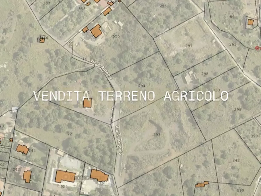 terreno agricolo in vendita a Camporotondo Etneo