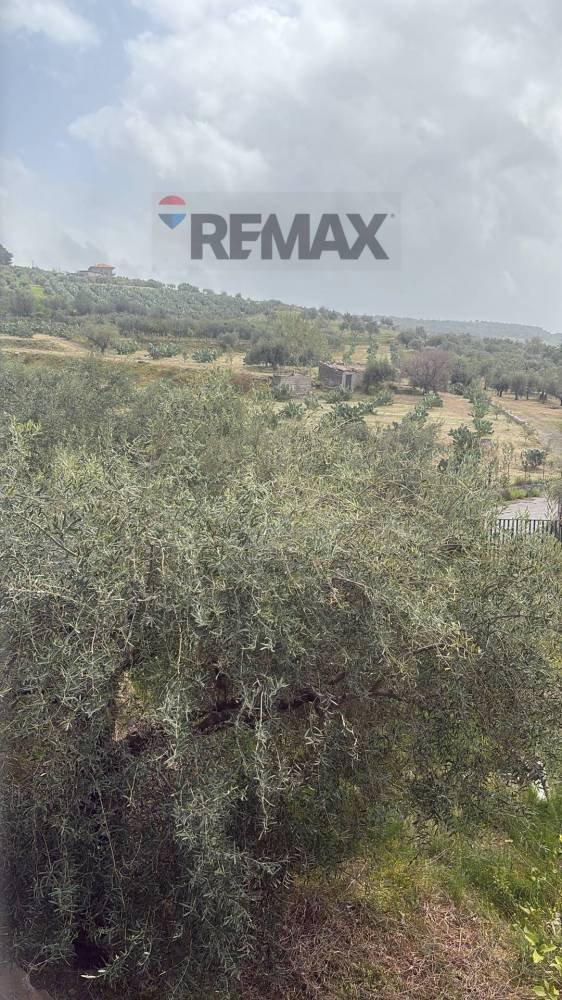 terreno agricolo in vendita a Camporotondo Etneo