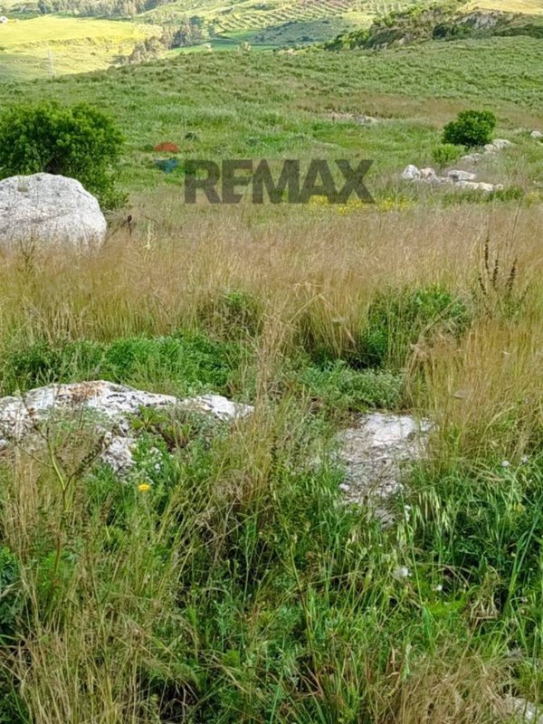 terreno agricolo in vendita a Camporotondo Etneo