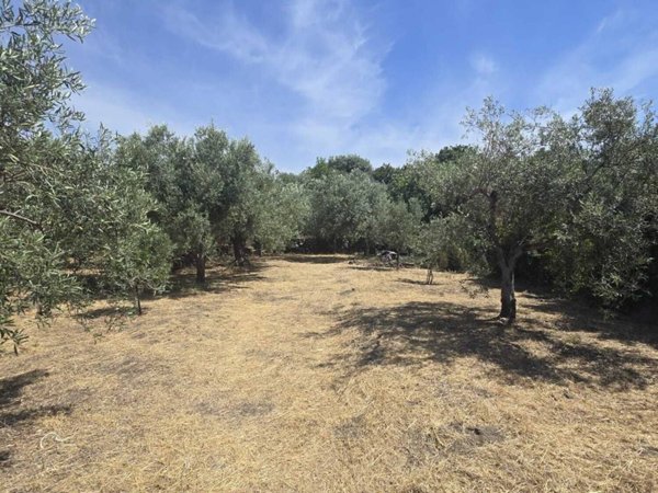 terreno agricolo in vendita a Camporotondo Etneo in zona Centro Storico