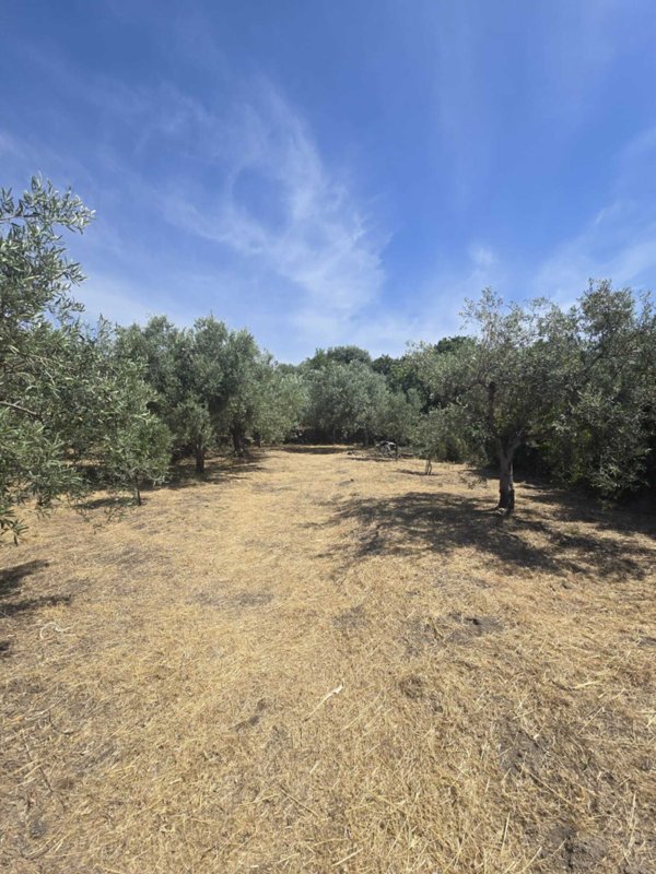 terreno agricolo in vendita a Camporotondo Etneo in zona Villaggio Sant'Antonio