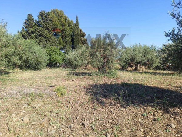 terreno edificabile in vendita a Camporotondo Etneo