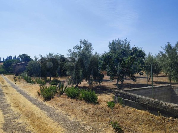 terreno agricolo in vendita a Camporotondo Etneo