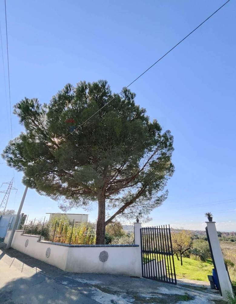 terreno in vendita a Camporotondo Etneo