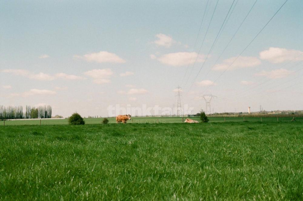 terreno agricolo in vendita a Castel di Iudica