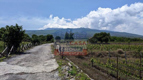 terreno edificabile in vendita a Castiglione di Sicilia