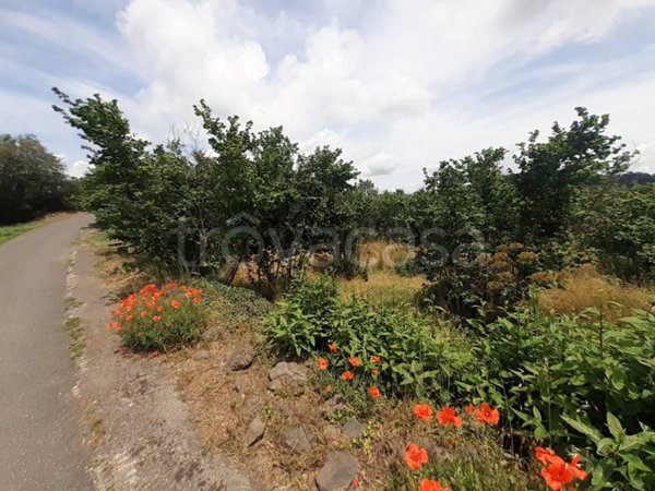 terreno agricolo in vendita a Castiglione di Sicilia in zona Rovittello