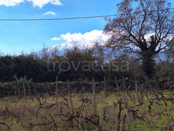 terreno agricolo in vendita a Castiglione di Sicilia