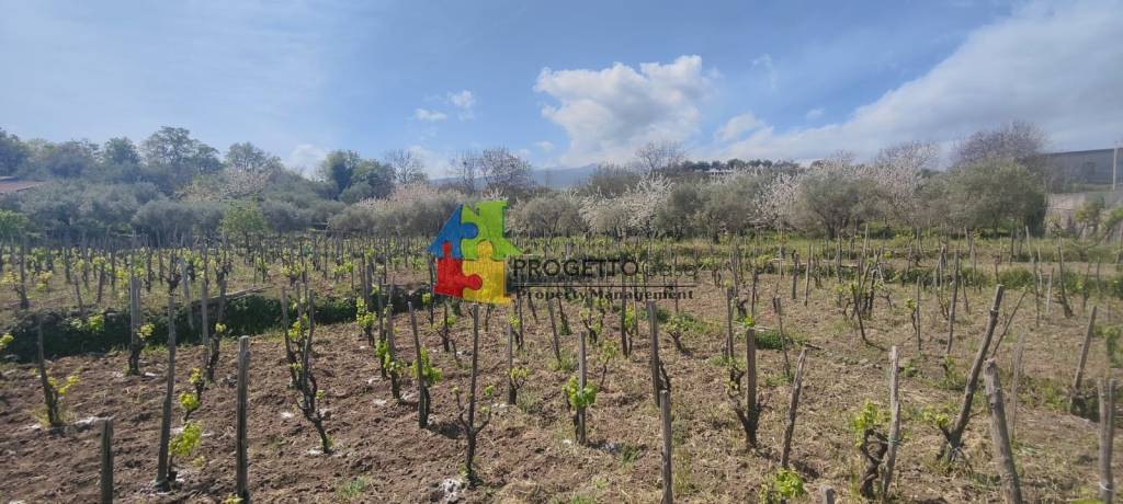 terreno agricolo in vendita a Castiglione di Sicilia in zona Verzella