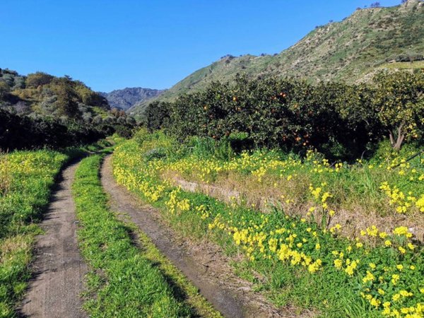 terreno agricolo in vendita a Castiglione di Sicilia