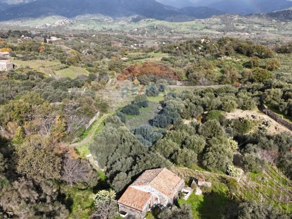 terreno agricolo in vendita a Castiglione di Sicilia in zona Verzella