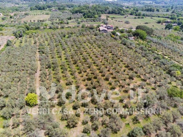 casa indipendente in vendita a Castiglione di Sicilia