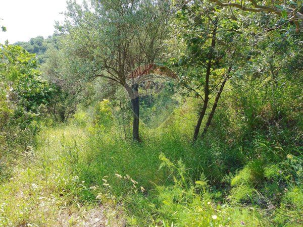 terreno agricolo in vendita a Castiglione di Sicilia in zona Gravà