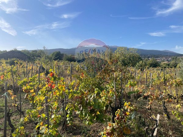 terreno agricolo in vendita a Castiglione di Sicilia
