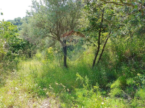terreno agricolo in vendita a Castiglione di Sicilia in zona Gravà